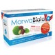 Morwa Biala + // morwa biala + cynamonowiec + chrom // suplement diety // 60 tab.
