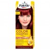 PALETTE COLOR SHAMPOO 217 Mahon