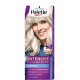 PALETTE INTENSIVE COLOR C9 Srebrzysty blond // Maksymalnie lsniacy kolor,rozjasniacz do 2 tonow