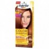 Palette COLOR SHAMPOO// 218 Lsniacy bursztyn