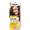 PALETTE COLOR SHAMPOO 221 Sredni Braz