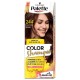 PALETTE COLOR SHAMPOO 244 Czekoladowy braz