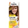 Palette COLOR SHAMPOO 317  Orzechowy Blond 7-554 //  with ARGAN  OIL //  NO AMONIA