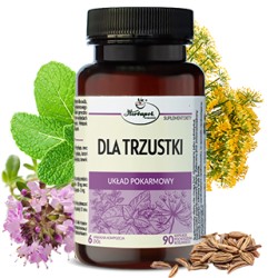 DLA TRZUSTKI // Unikalna kompozycja 6 ziół // 90 kapsułek