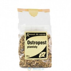OSTROPEST plamisty NASIONA 200 g
